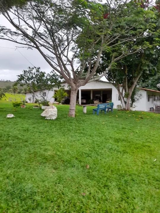 Fazenda de 135 alqueires em Alto Paraiso-GO - Foto 3