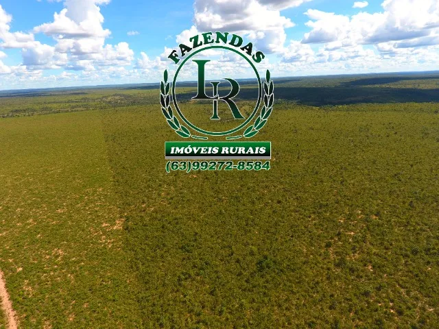 Fazenda 119 Alqueires Bruta Dupla Aptidão