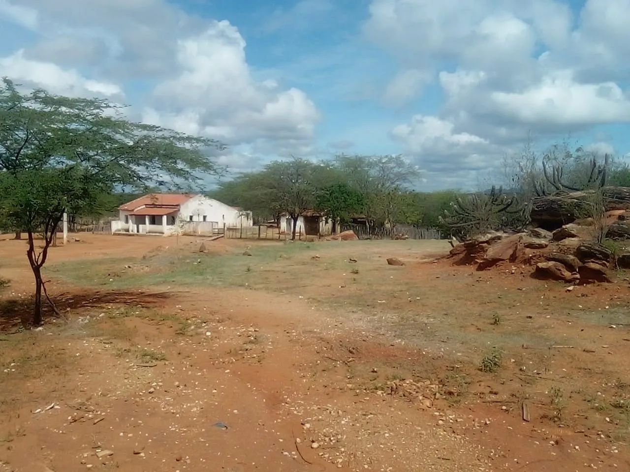 Vendo fazenda 70hectares Sertania - Foto 4