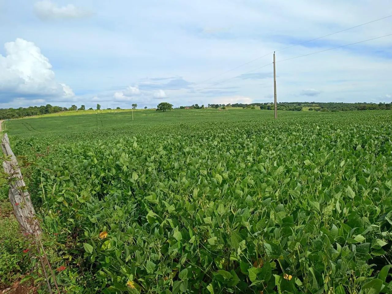 Ótima fazenda em Edéia 