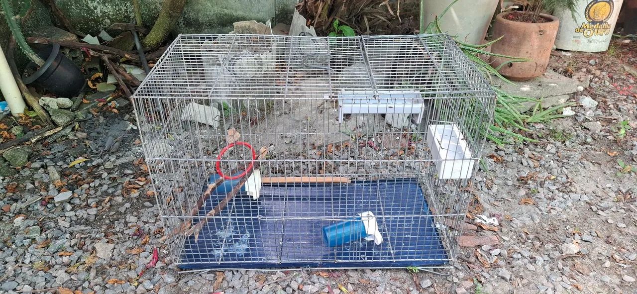 Vendo gaiola de ferro