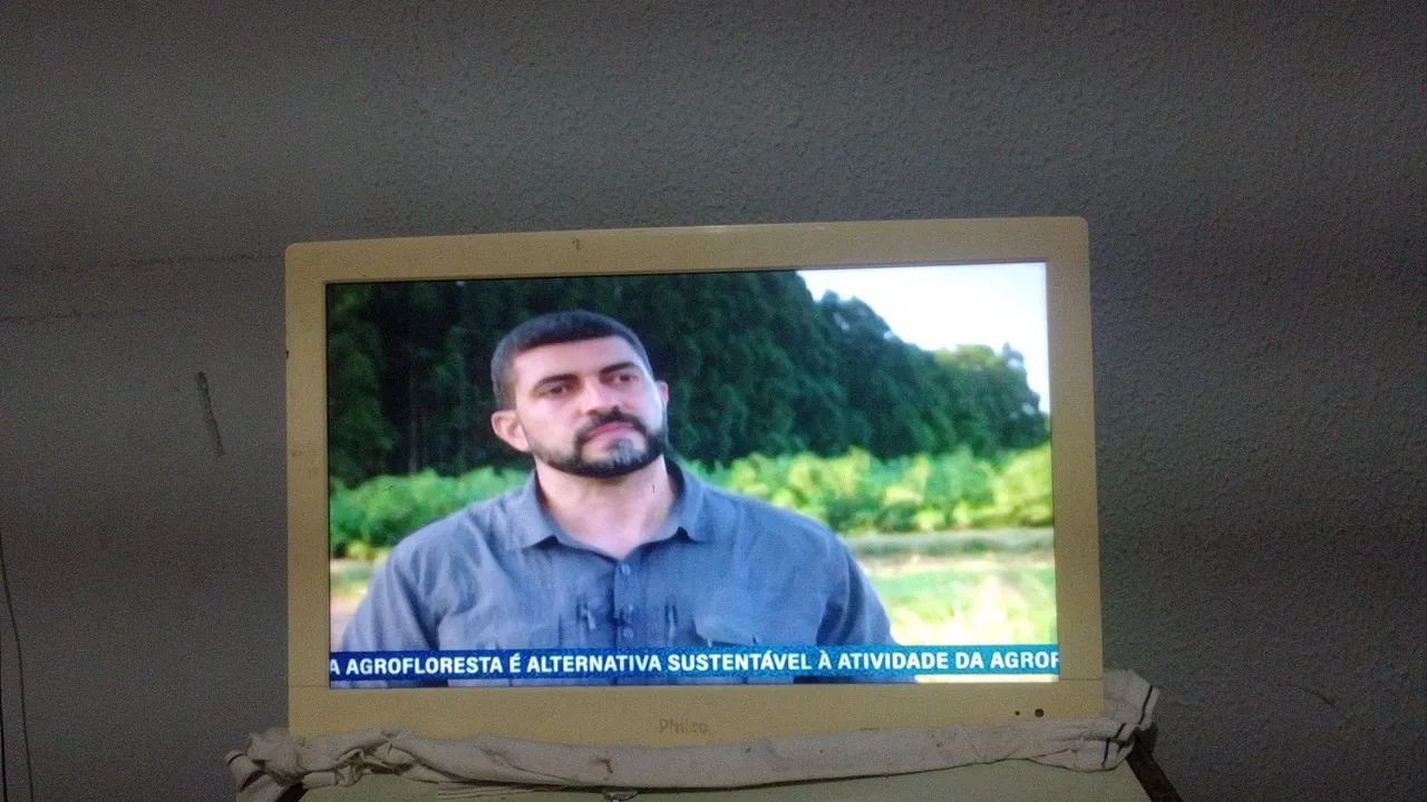 Televisão