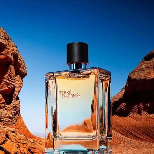 Perfume Terre D Hermès 100ml edt - Foto 2