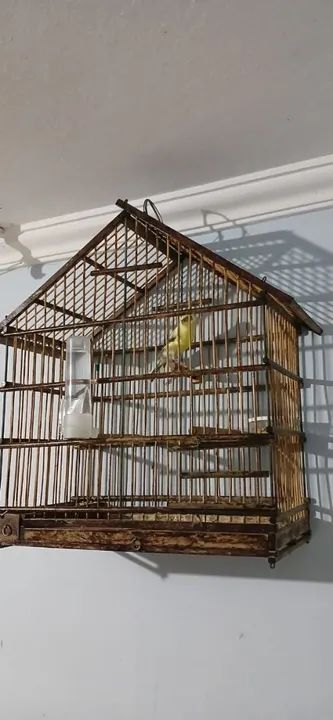 Gaiola de madeira para pássaros - Foto 2