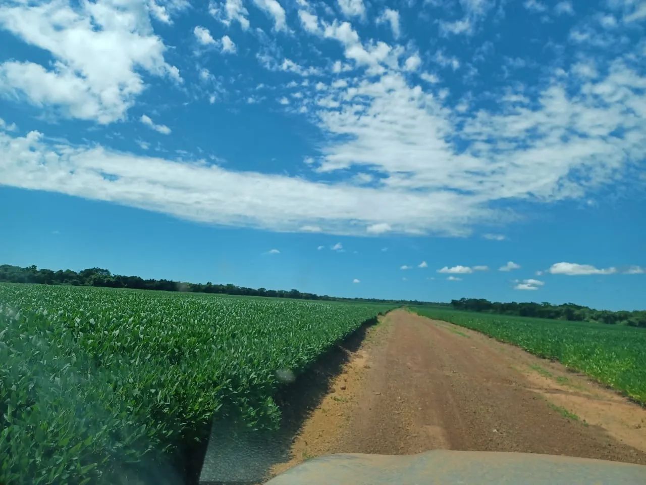 Fazenda 2208 Hectares, 1100 Hectares Plantando, 400 Hectares em Pasto, Barracão, 3 Casas, - Foto 4
