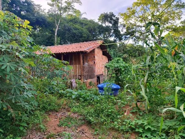 Chácara com pomar em produção - Foto 12