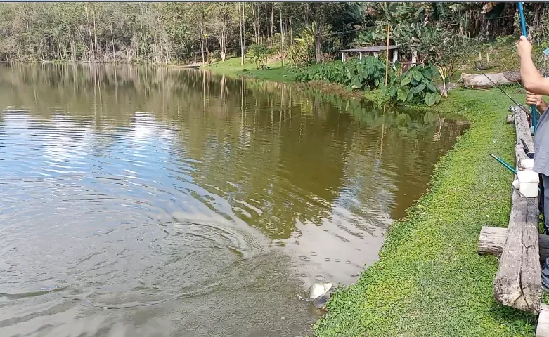 Lote em Caeté condomínio sem custo com pesca piscina camping área gourmet lagos corrego