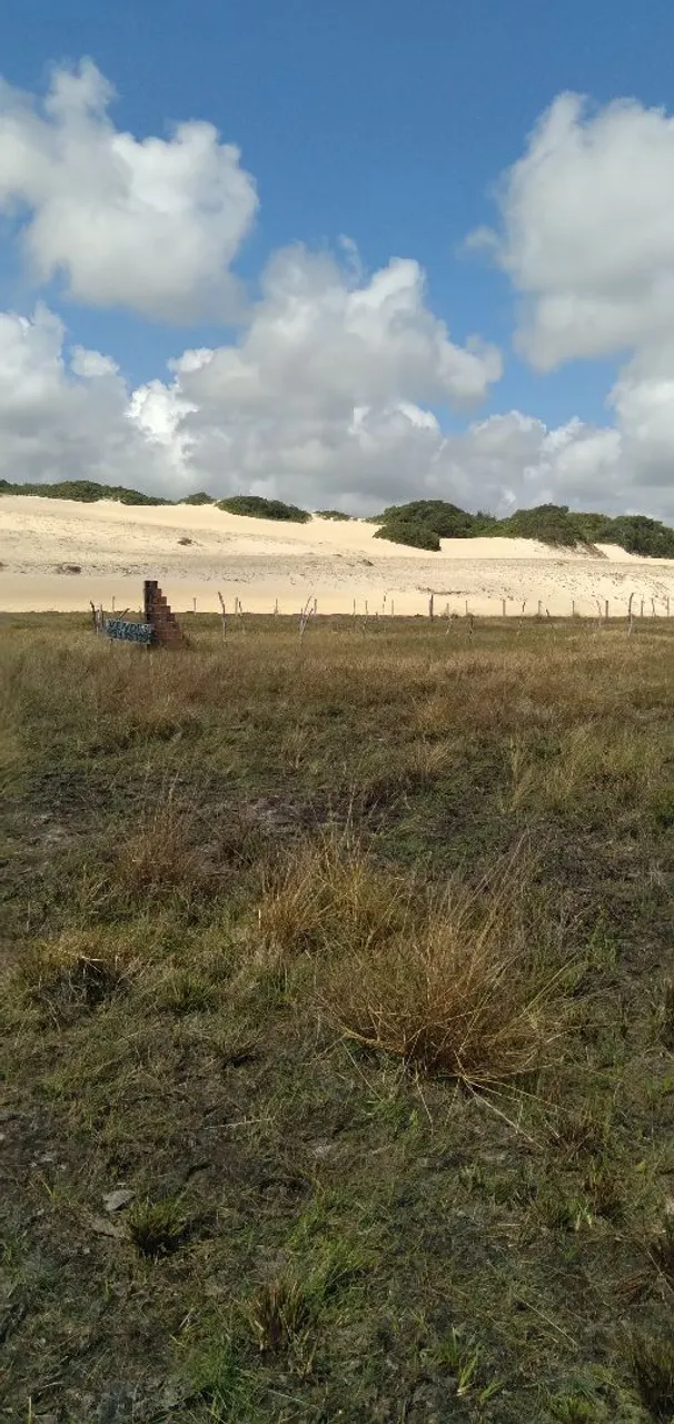Terreno em jacuma