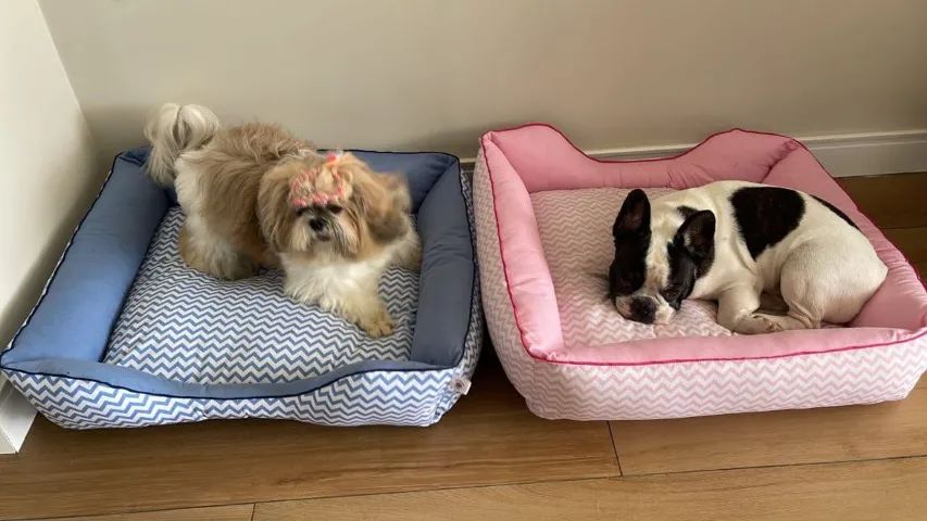 Cama Pet - A partir de R$ R$ 60,00 - Foto 2