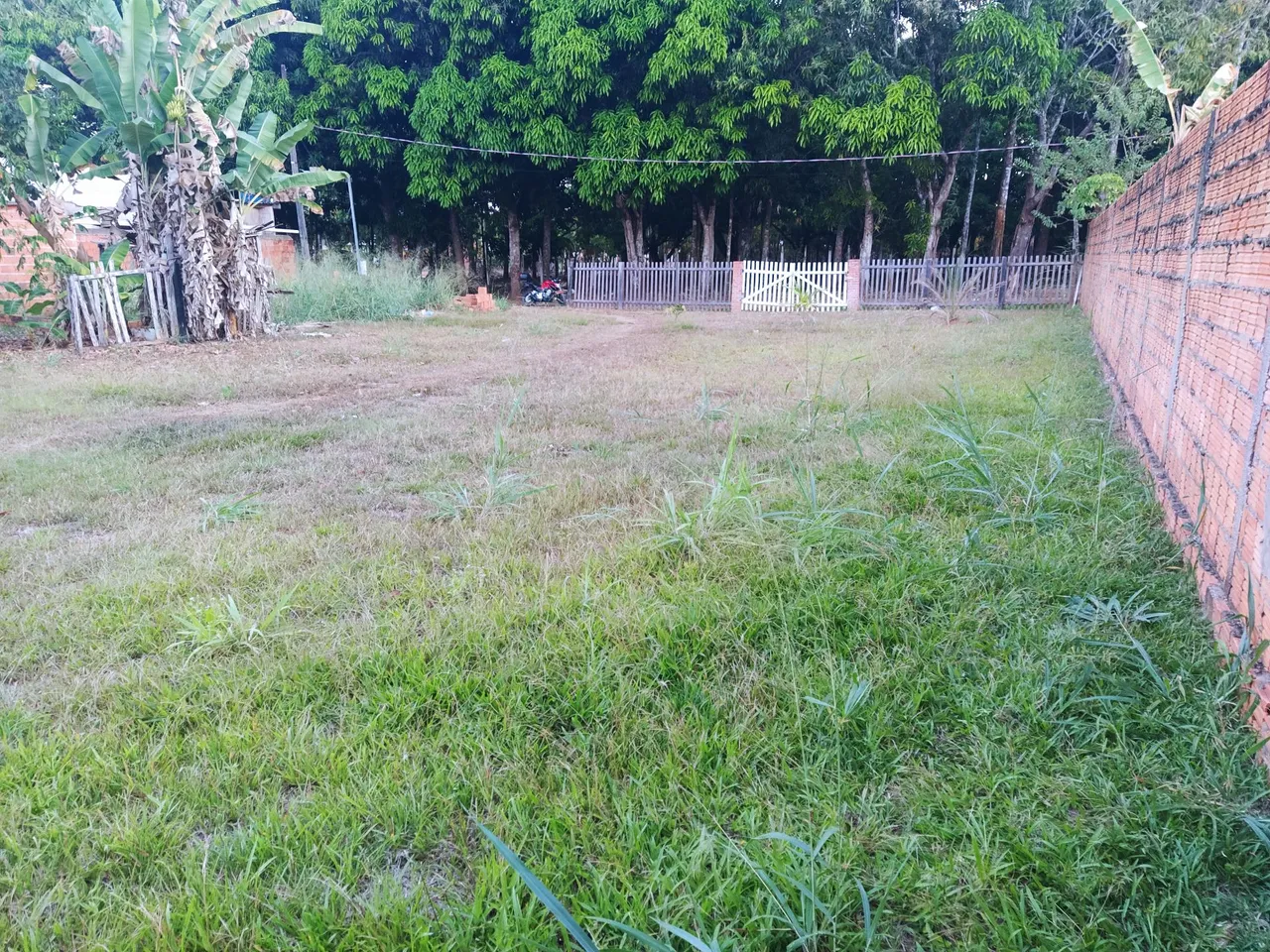 Vendemos