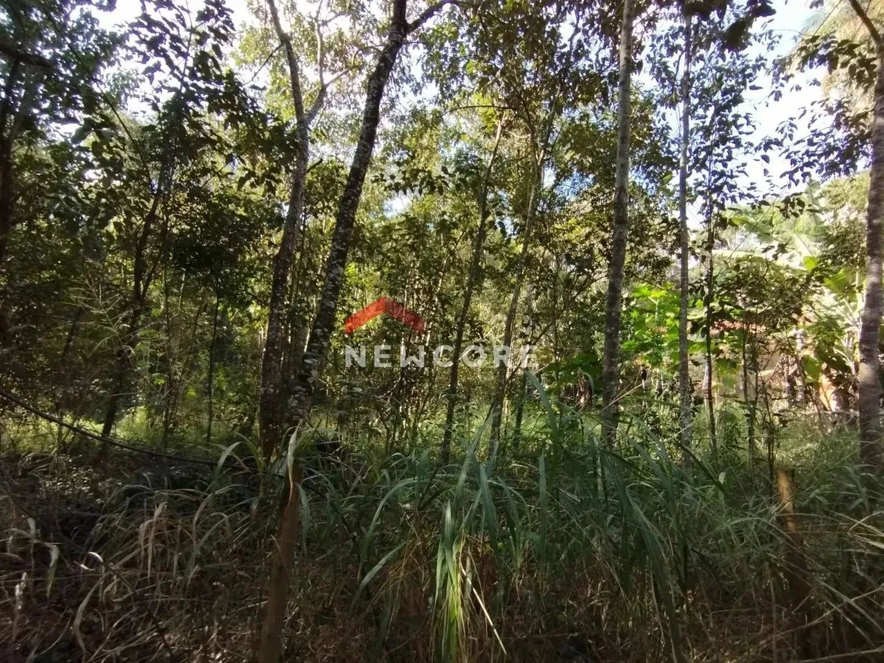 Lote em condomínio em Alameda dos Flamboyants - Condomínio Nossa Fazenda - Esmeraldas/MG - Foto 11