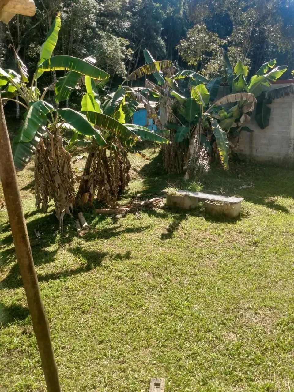 Vendo  chácara em Juquitiba São Paulo  - Foto 3