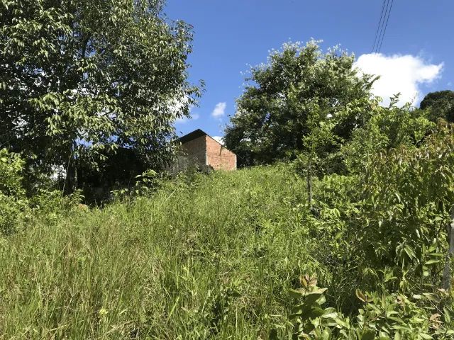 Foto - São Lourenço da Mata - Muribara