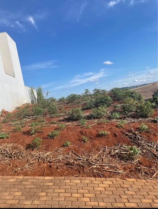 Terreno à venda  - Foto 4