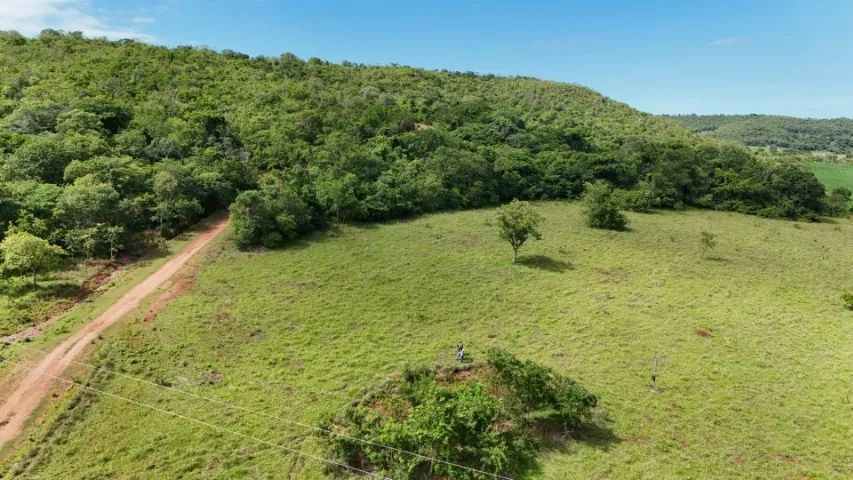 Chácaras a partir de 02 Hectares Próximo de Campo Grande!  - Foto 4