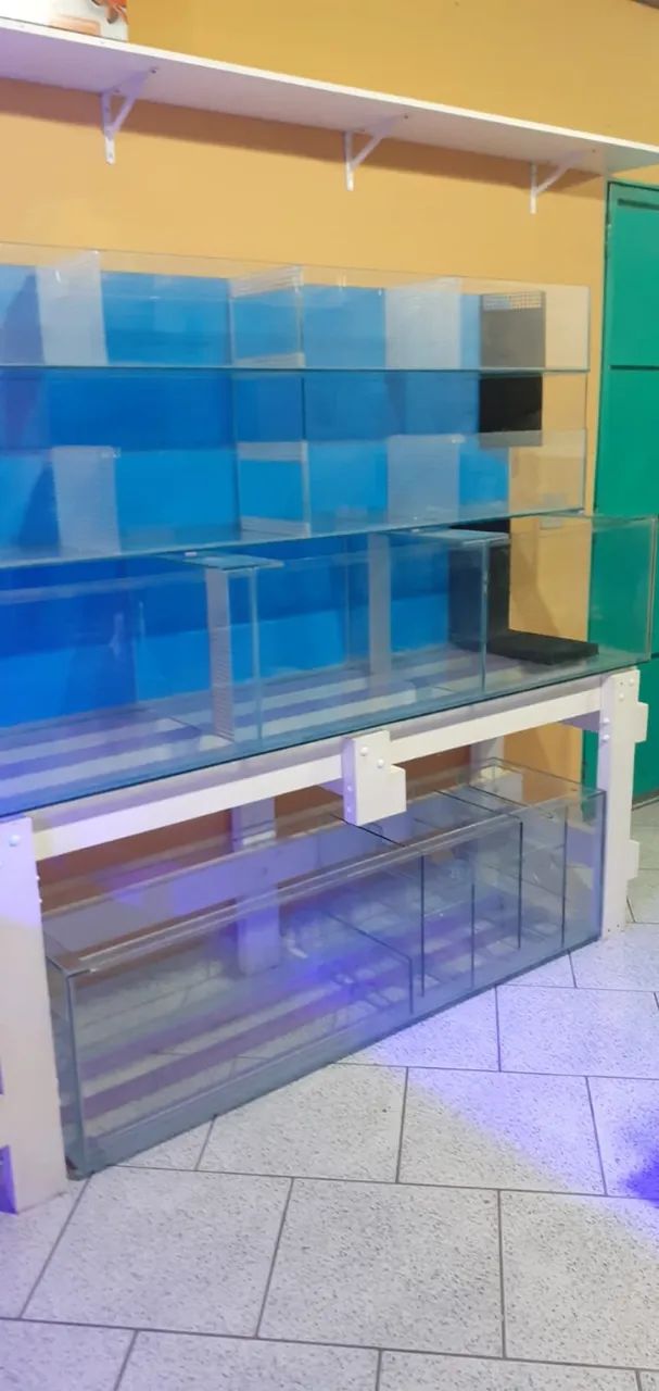 Bateria de aquários (Para lojistas)