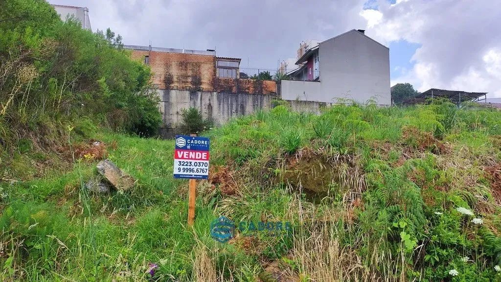 Terreno no Cristo Redentor - Foto 2