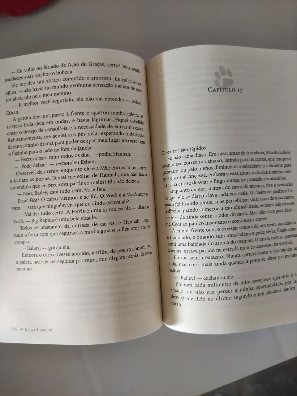 Quatro vidas de um cachorro  - Foto 3