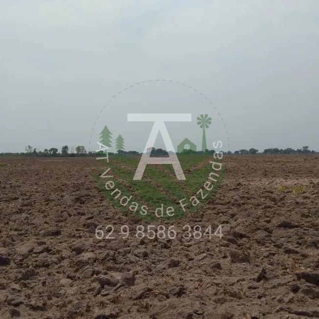Fazenda de 1.590 hec em Serra Nova Dourada MT - Foto 4
