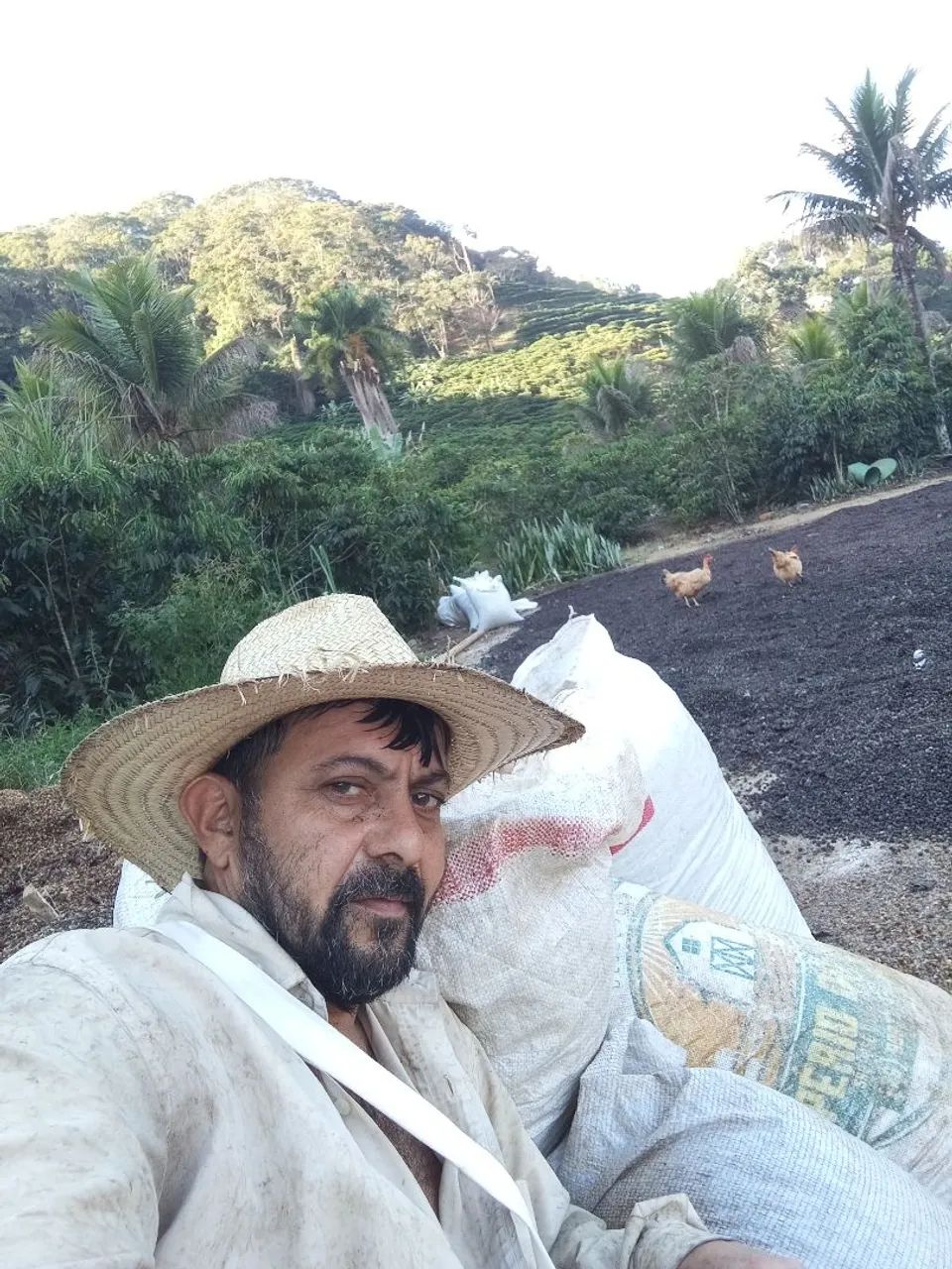 Limpeza de terreno jardim piscina  - Foto 2