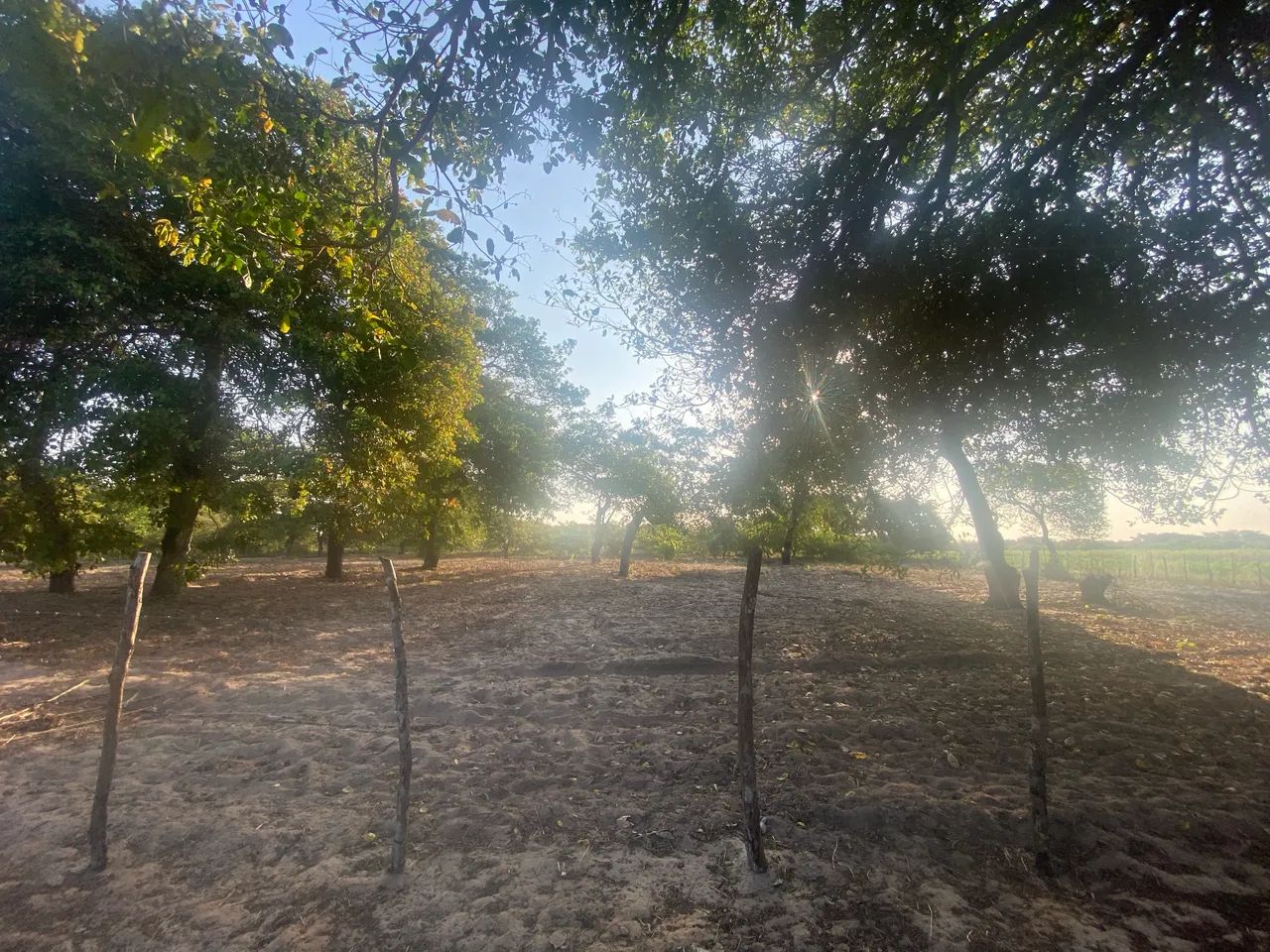 Vende-se terreno em sítio  - Foto 4