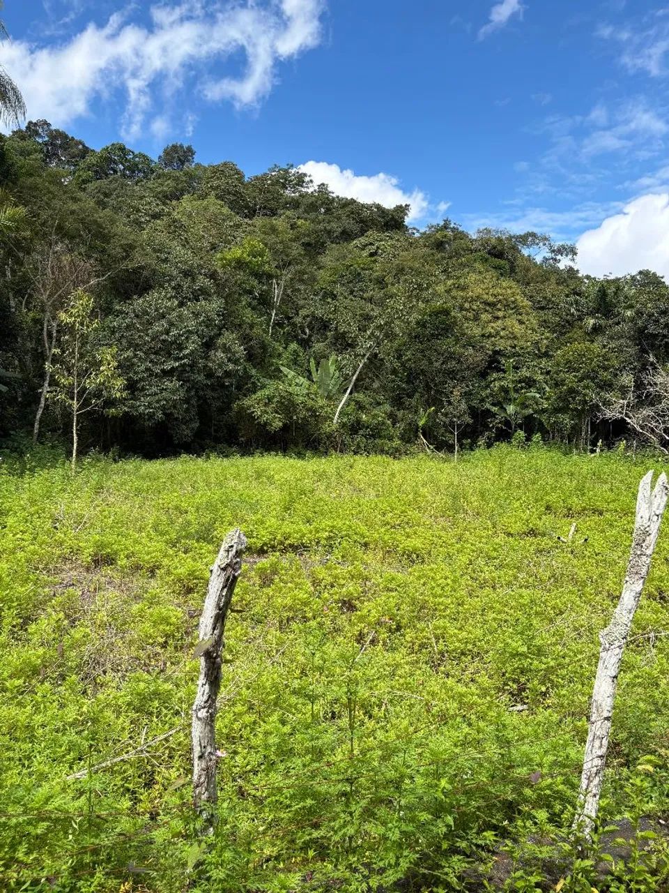 TERRENO TOTALMENTE PLANO EM GUARAMIRANGA COM 1120M² - Foto 4