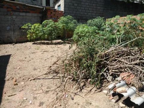 Terreno para Venda no bairro Parque Centenário com 0 dormitórios/quartos. - Foto 2