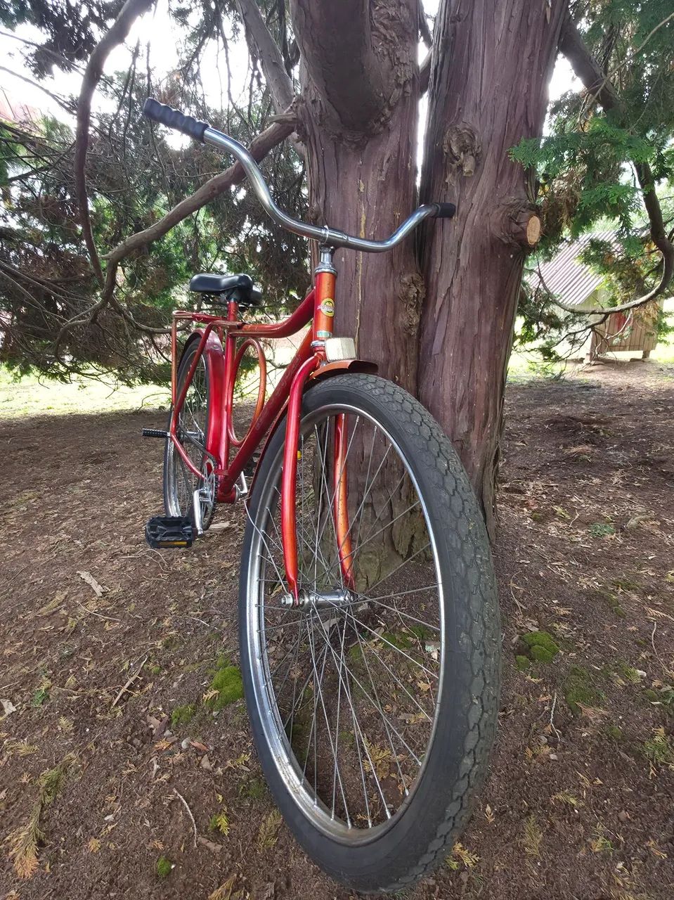 Bicicleta - Foto 2