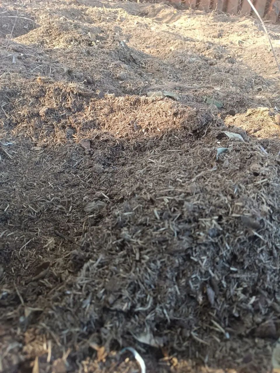 Esterco de equino  - Foto 2