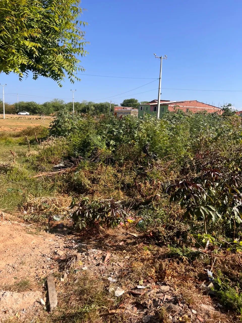 Vendo Terreno Agrovila Massangano  - Foto 2