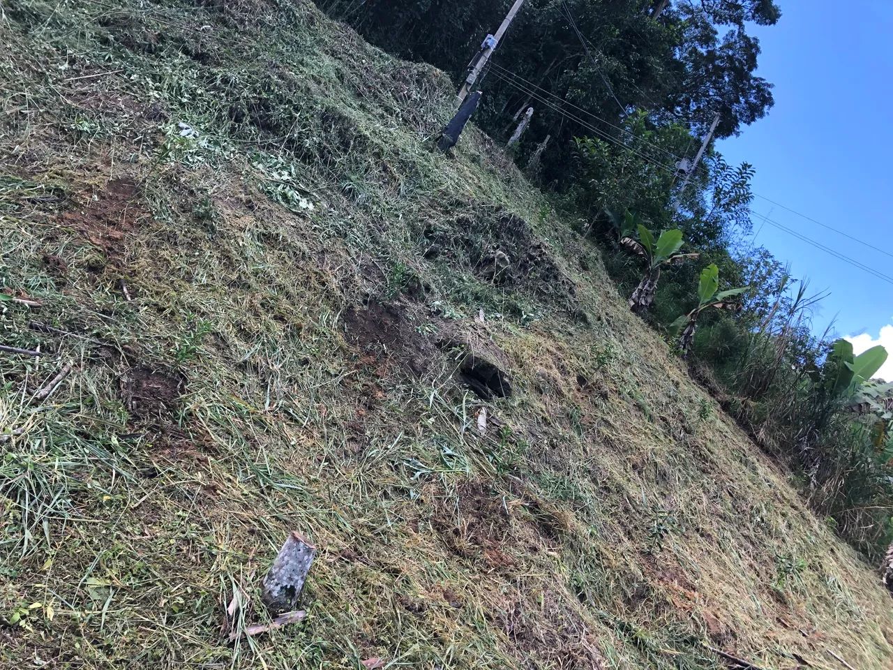 Serviço de Jardinagem e Roçagem. - Foto 2