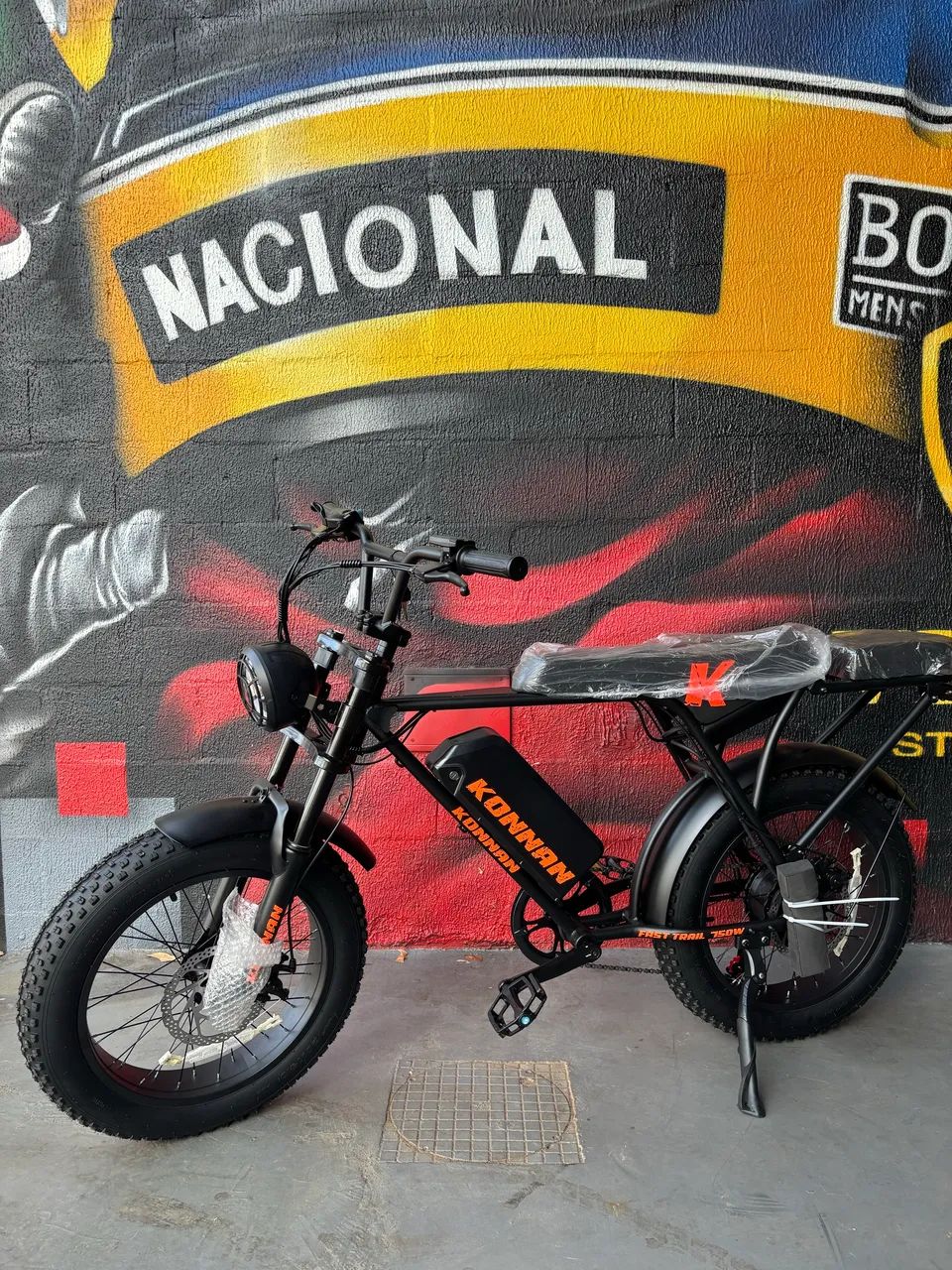 Bicicleta Elétrica 750W