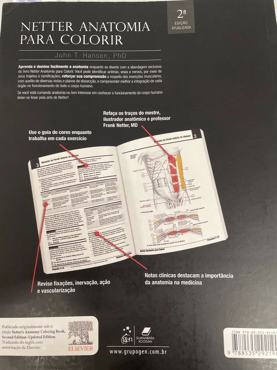 Netter Anatomia Para Colorir  - Foto 2