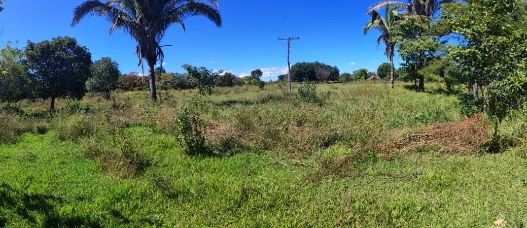 Fazenda 21 Hectares  - Foto 5