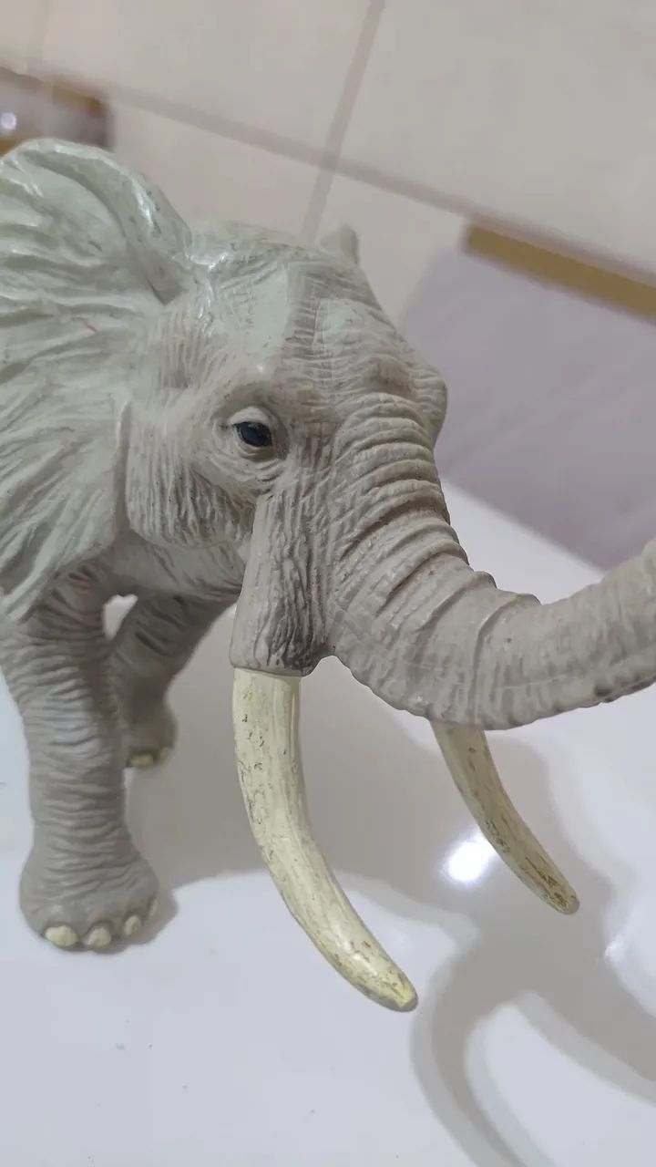 Elefante Africano Realista - Foto 4