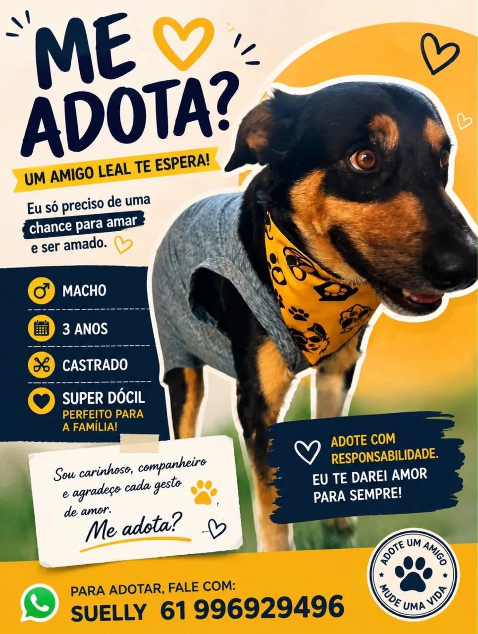 Doação  - Foto 2