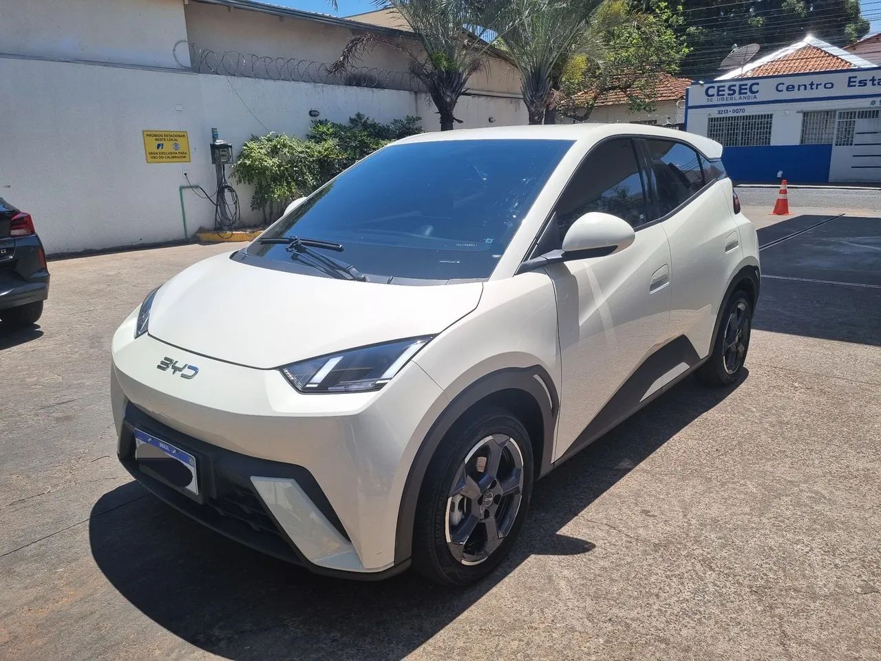 BYD Dolphin Mini (Elétrico) 2025