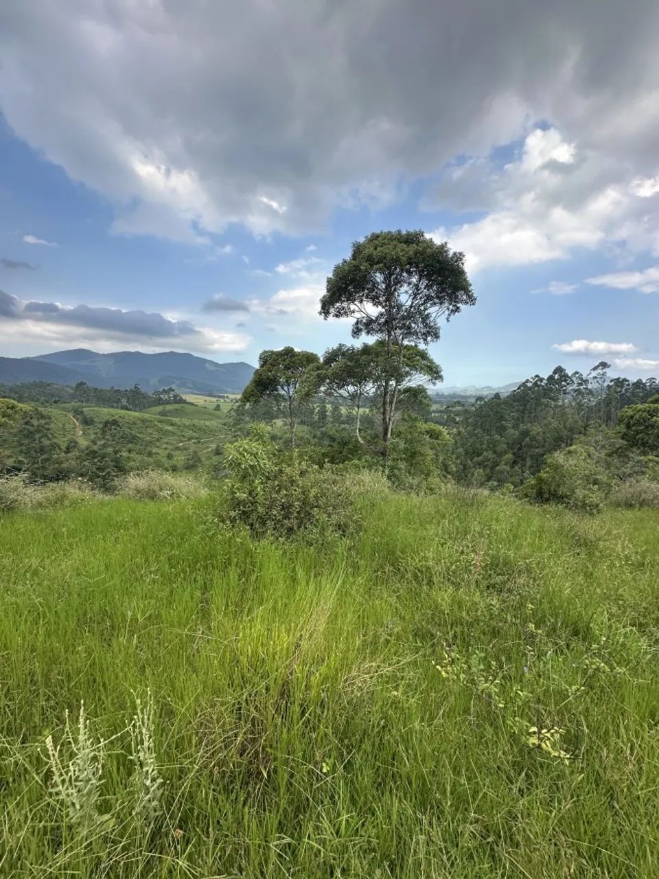 Sítio para Venda em Paulo Lopes, Penha - Foto 3