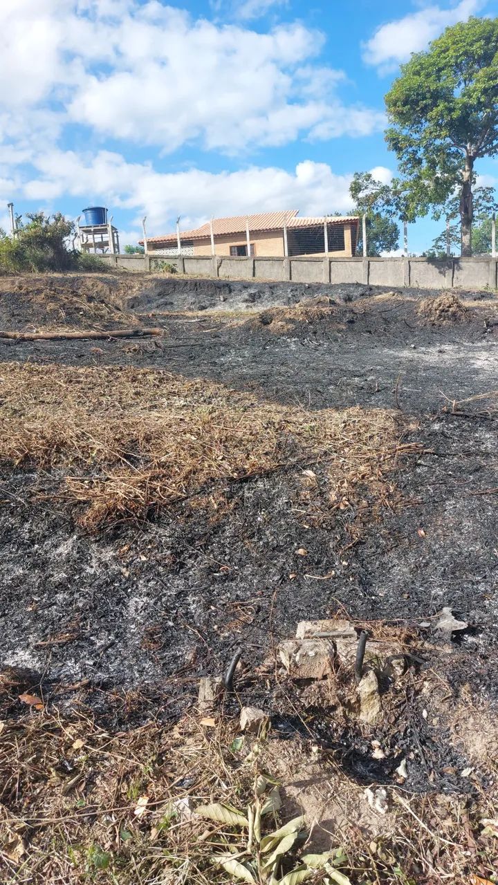 Terreno - Lote - Foto 4