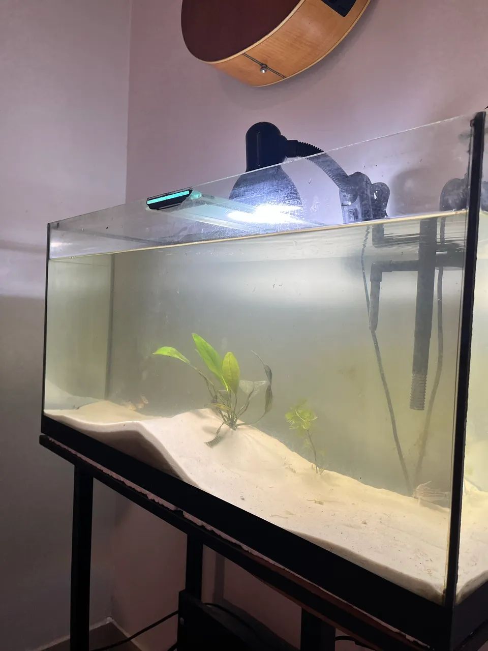 Aquário 96L com móvel - Foto 3