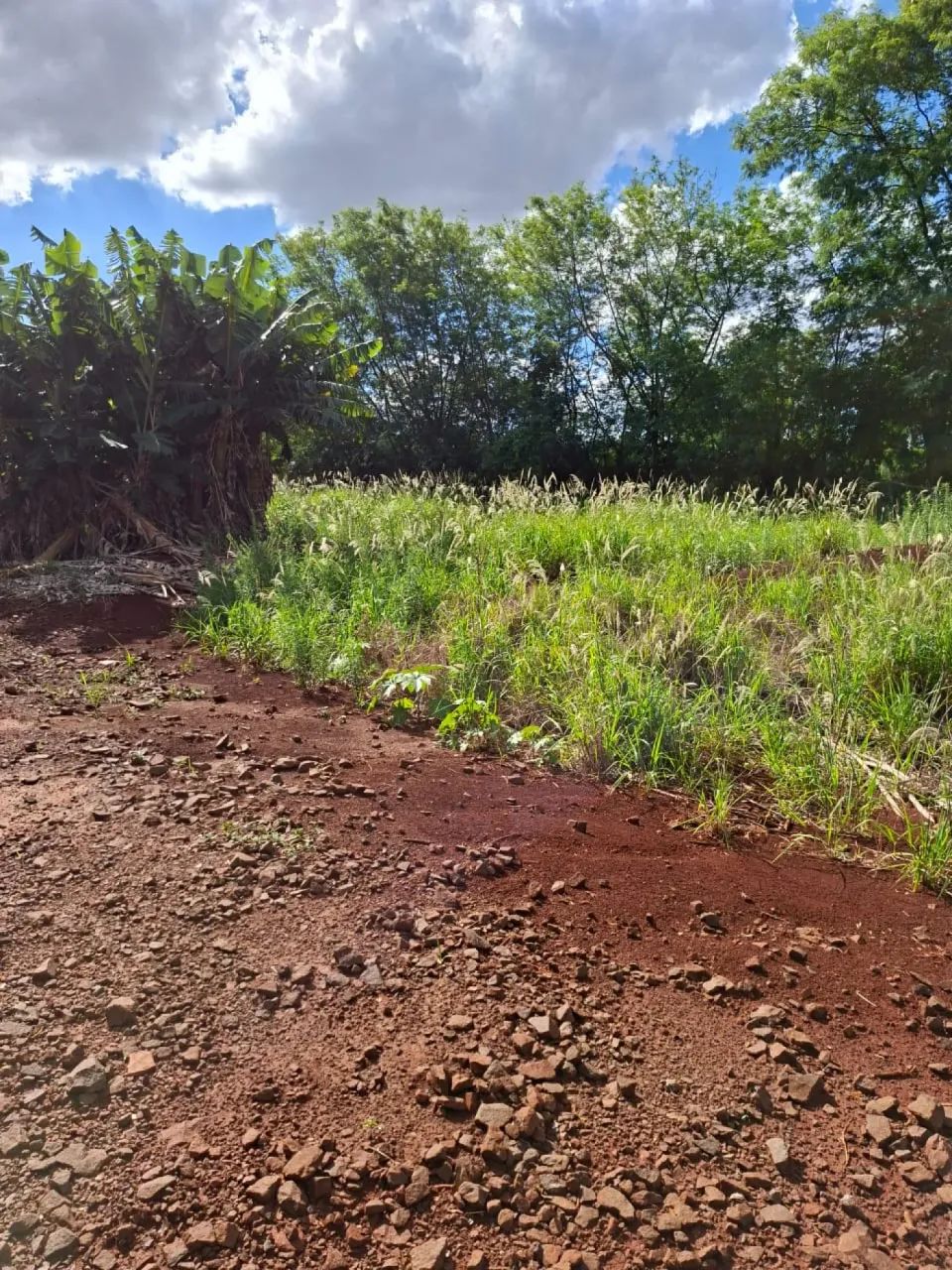 Terreno Padrão em Maringá - Foto 5