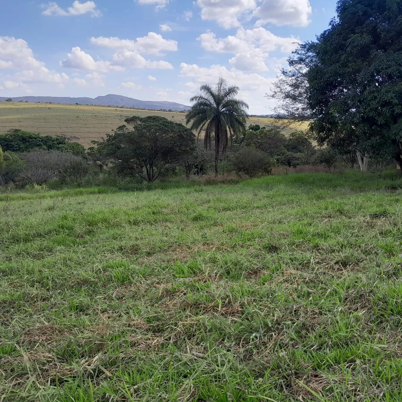 Terreno rural em mateus leme  - Foto 2