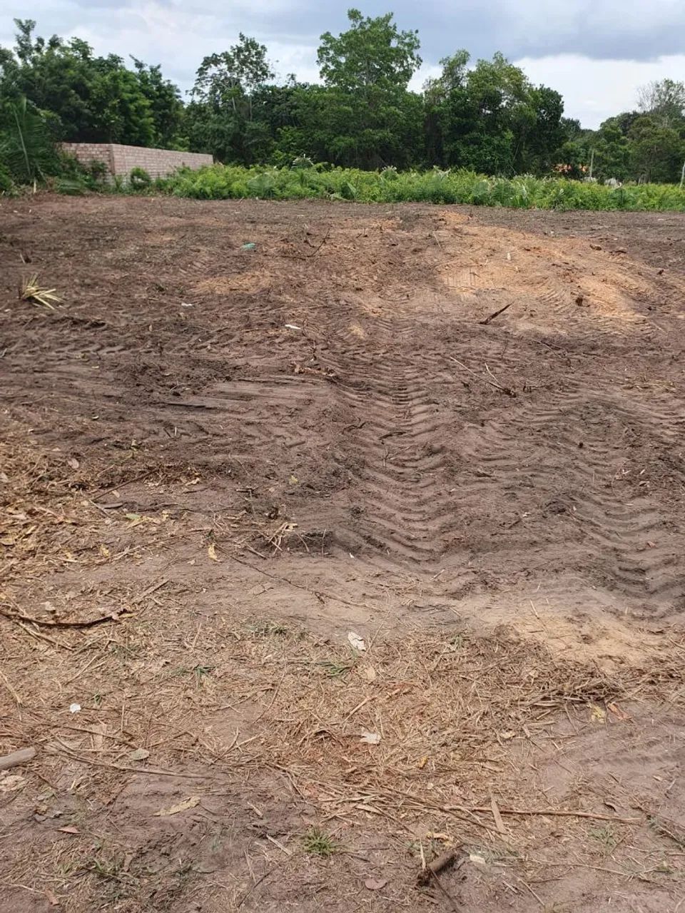 Terreno Alter do Chão - Foto 3