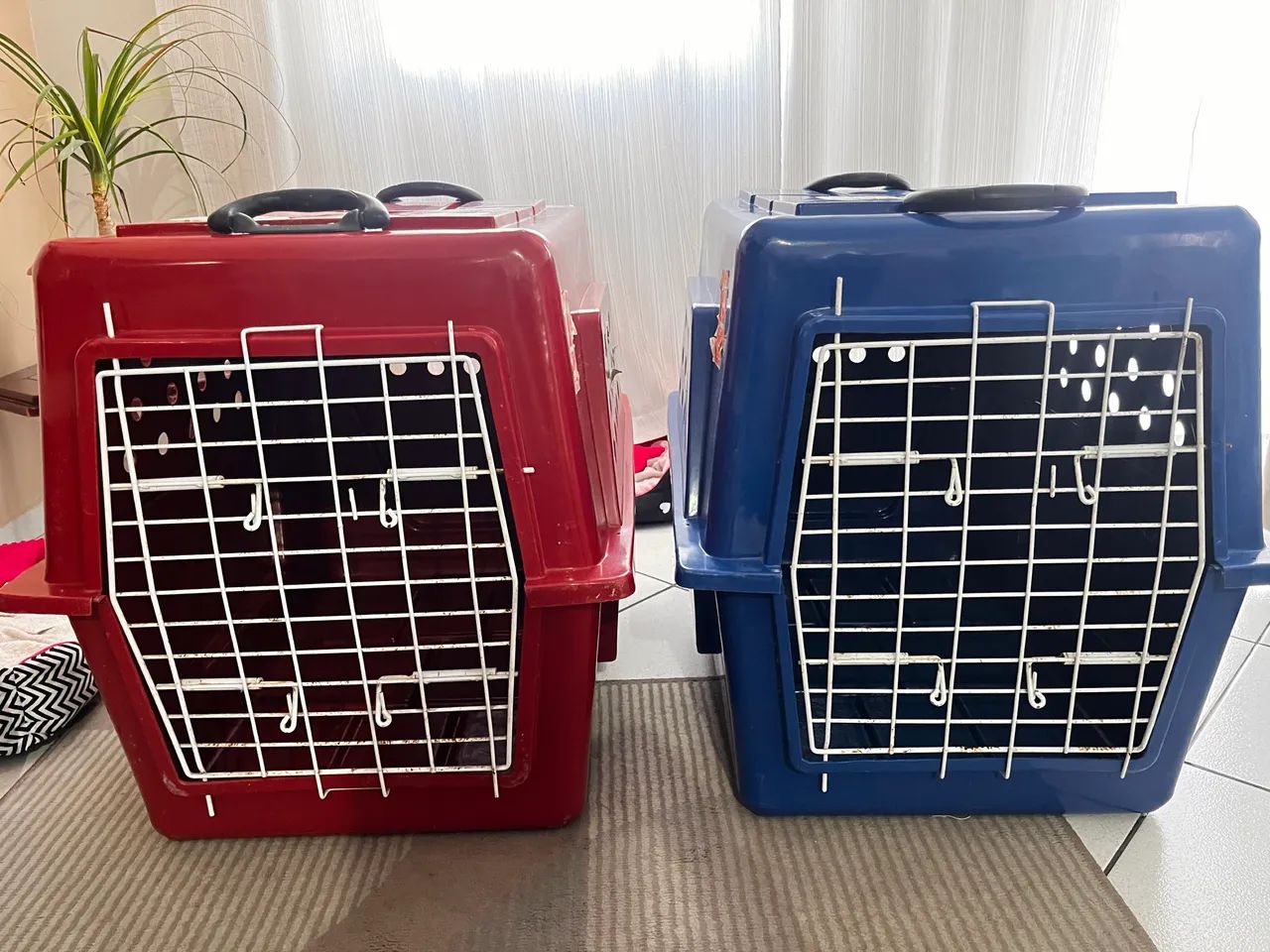 Caixa para transporte Pet