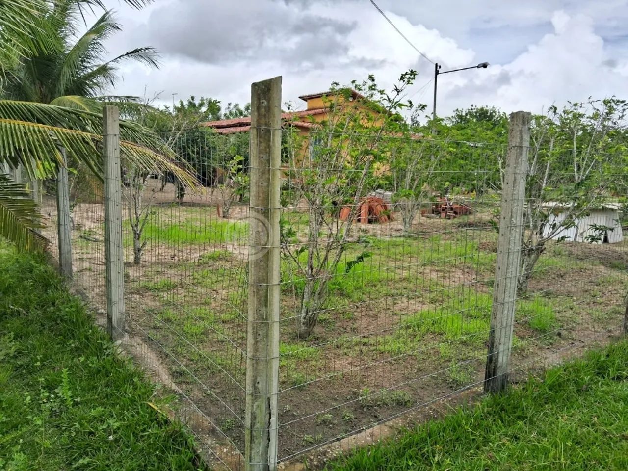 Chácara à Venda - 2 Hectares - Foto 4