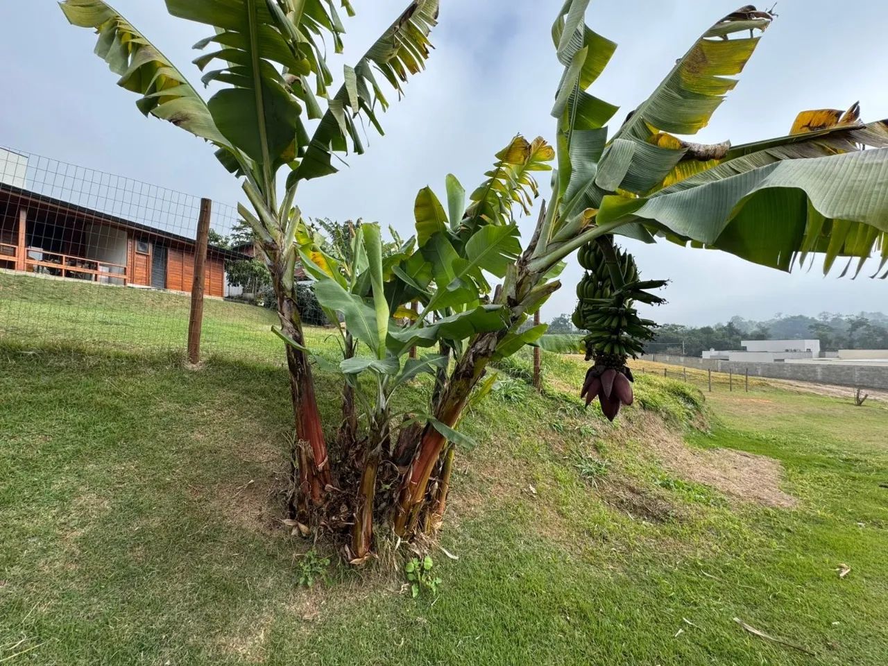 Terreno em condomínio em Vilagge Araçoiaba - Foto 4