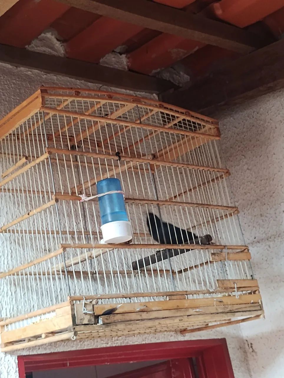 Gaiolas de madeira  - Foto 2