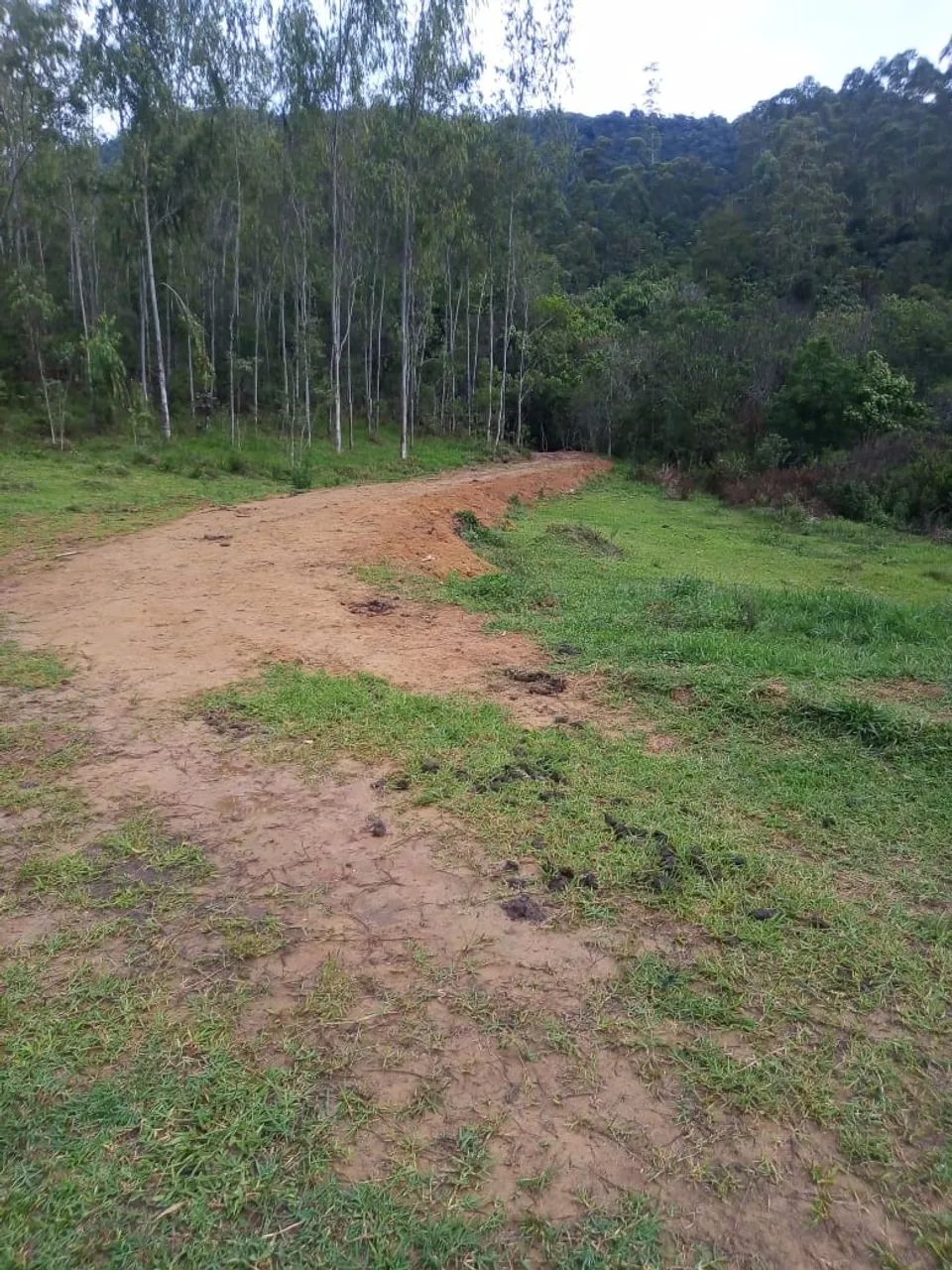 SÍTIO RURAL em PARAIBUNA - SP, CEDRO - Foto 4