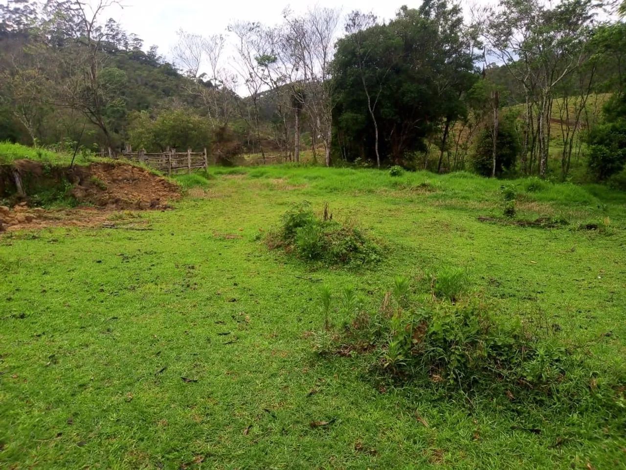 SÍTIO RURAL em PARAIBUNA - SP, CEDRO - Foto 3