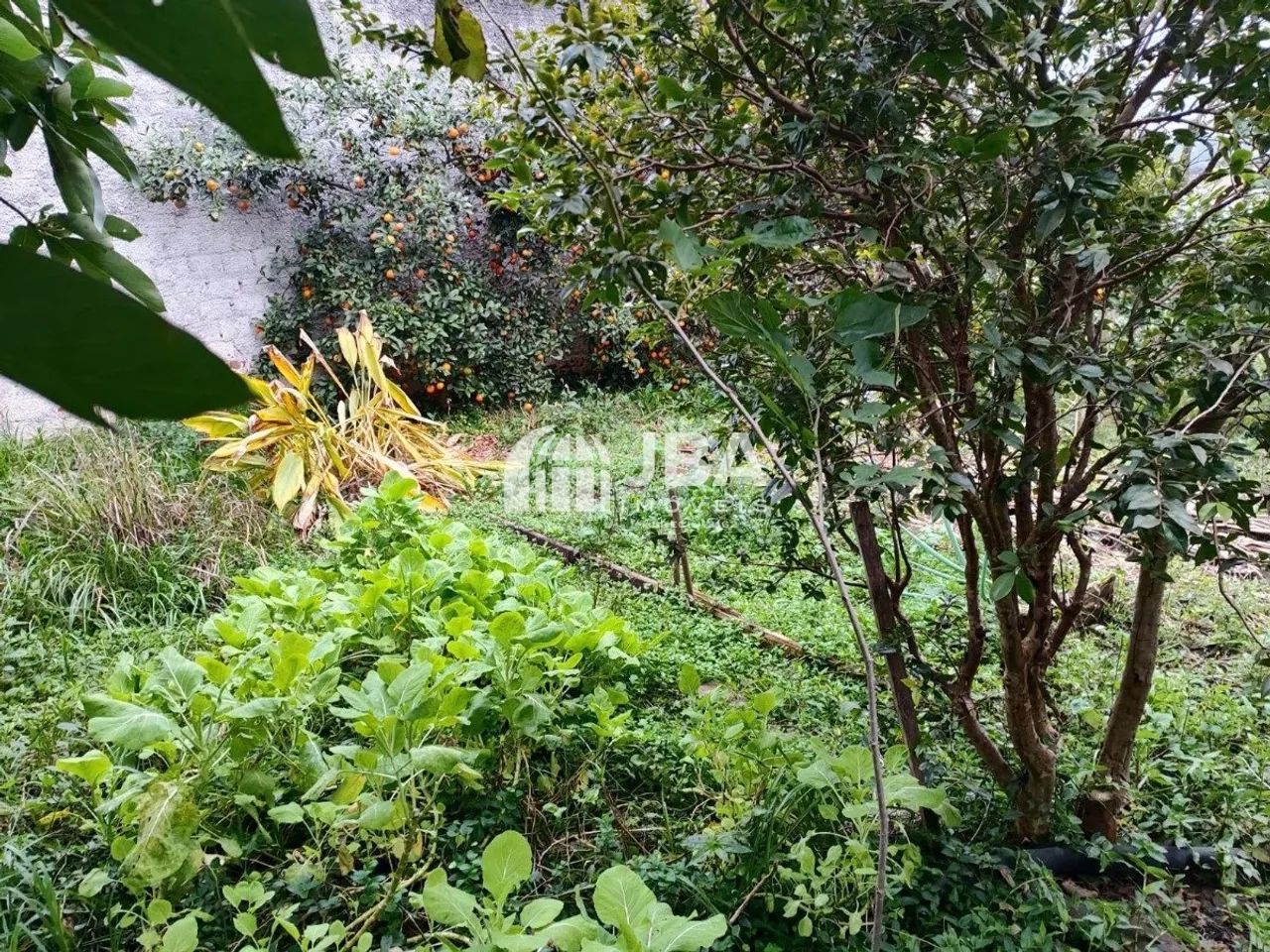 Ótimo terreno para construir 5 unidades - Foto 4